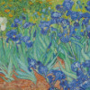 Irises Vincent Van Gogh Diamond Painting