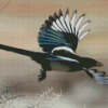 Black Billed Bird Diamond Painting