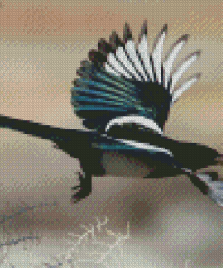 Black Billed Bird Diamond Painting