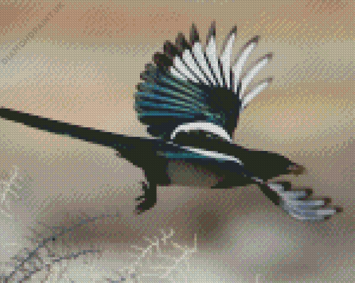 Black Billed Bird Diamond Painting