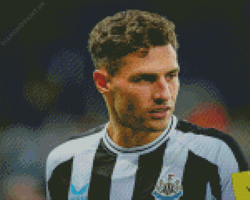 Fabian Schar Diamond Painting