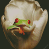 Frog On A White Tulip Diamond Painting