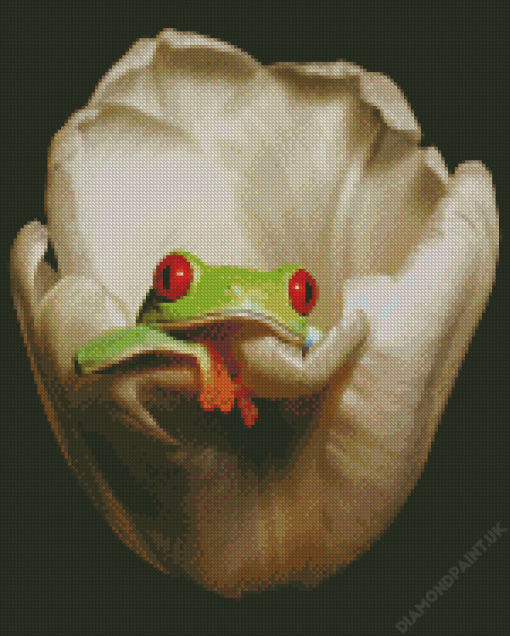 Frog On A White Tulip Diamond Painting