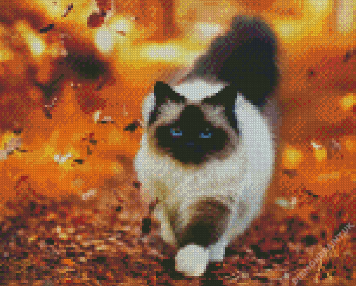 Himalayan Cat With Autumn Diamond Painting