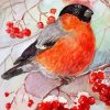 Scarlet Robin And Ashberry Diamond Painting