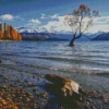 Wanaka Tree Landscape Diamond Painting