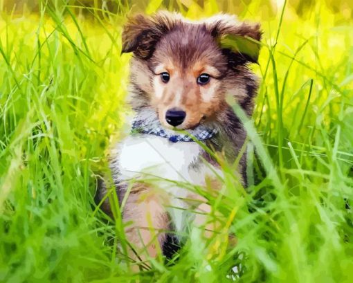 Cute Shetland Dog Diamond Painting