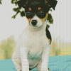Cute Toy Fox Terrier Diamond Painting