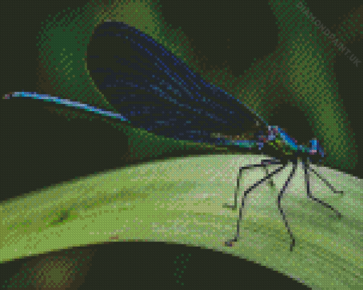 Dark Blue Insect Wing Diamond Painting