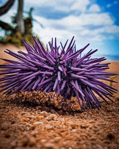 Purple Sea Urchin On Sand Diamond Painting