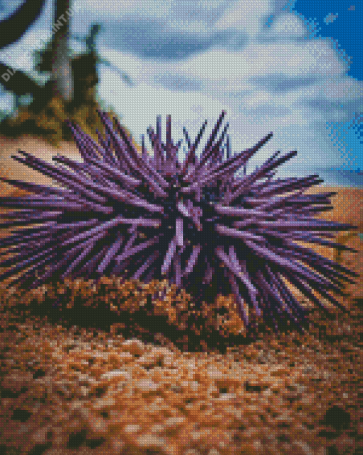 Purple Sea Urchin On Sand Diamond Painting