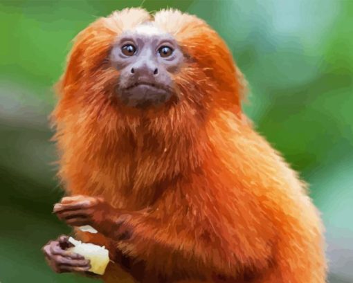 The Golden Lion Tamarin Diamond Painting