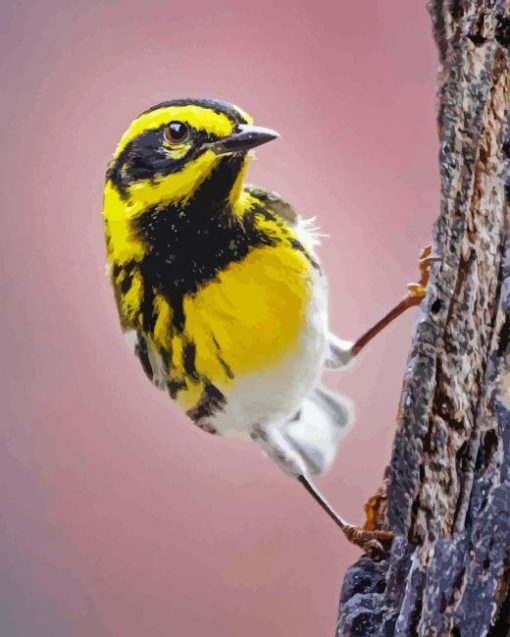 Yellow Townsend Warbler Diamond Painting