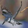 Belted Kingfisher Flying Diamond Painting