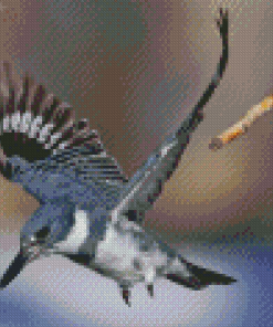 Belted Kingfisher Flying Diamond Painting