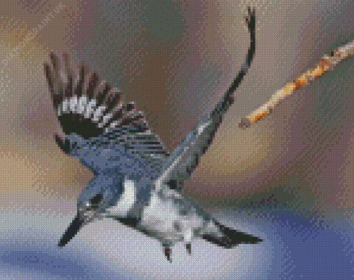 Belted Kingfisher Flying Diamond Painting