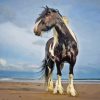 Black And White Horse At Beach Diamond Painting