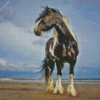 Black And White Horse At Beach Diamond Painting