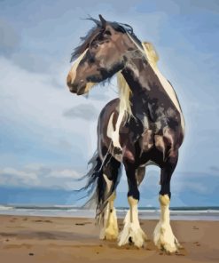 Black And White Horse At Beach Diamond Painting
