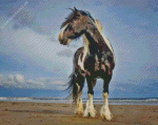 Black And White Horse At Beach Diamond Painting