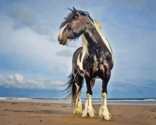 Black And White Horse At Beach Diamond Painting