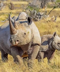 Black Rhino Diamond Painting