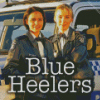 Blue Heelers Diamond Painting