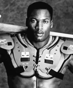 Bo Jackson Diamond Painting