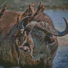 Buffalo And Red Billed Oxpeckers Diamond Painting