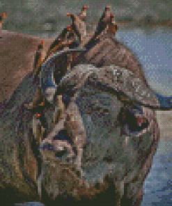 Buffalo And Red Billed Oxpeckers Diamond Painting