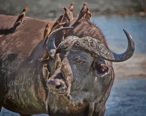 Buffalo And Red Billed Oxpeckers Diamond Painting