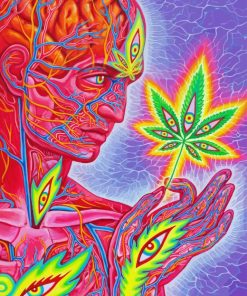Cannabis Man By Alex Grey Diamond Painting