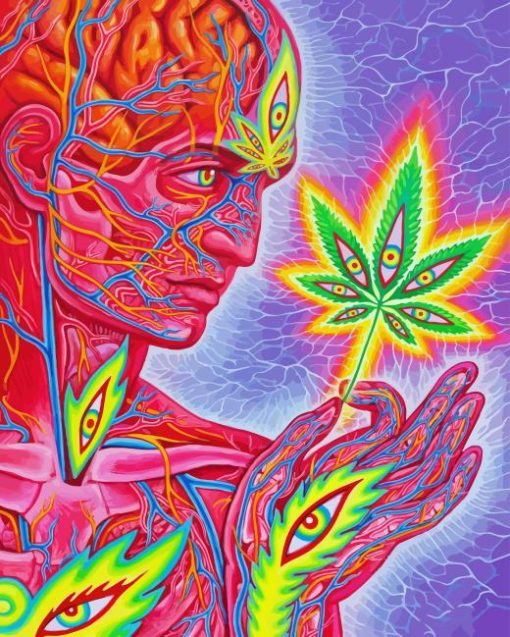 Cannabis Man By Alex Grey Diamond Painting