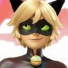 Cat Noir Adrien Agreste Ladybug Diamond Painting