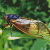 Cicada Insect Diamond Painting