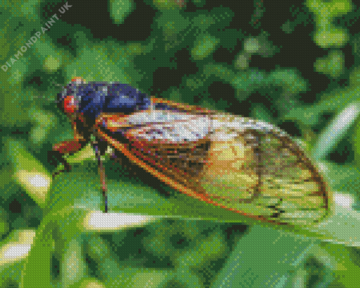 Cicada Insect Diamond Painting