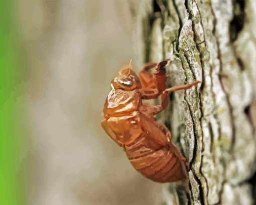 Cicadas Insect Diamond Painting