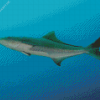 Cobia Fish Diamond Painting