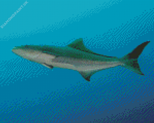 Cobia Fish Diamond Painting