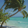 Coconut Tree On Beach Diamond Painting