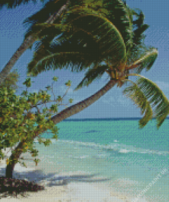 Coconut Tree On Beach Diamond Painting