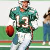 Dan Marino American Football Player Diamond Painting