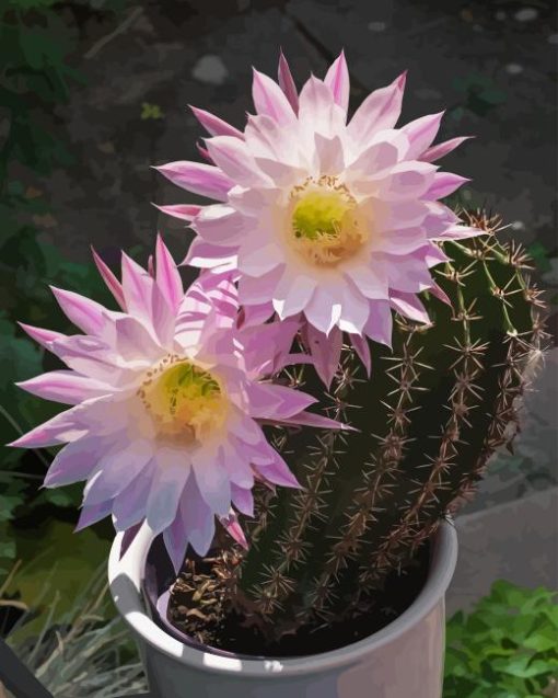 Echinopsis Plant With Pink Flowers Diamond Painting