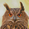 Eurasian Eagle Owl Face Diamond Painting