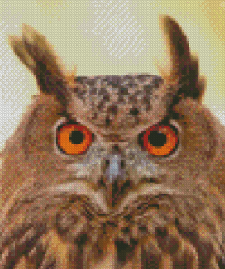 Eurasian Eagle Owl Face Diamond Painting