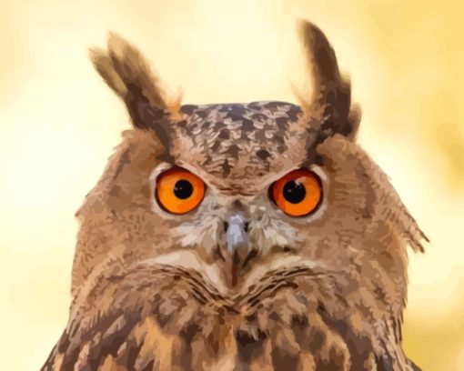 Eurasian Eagle Owl Face Diamond Painting