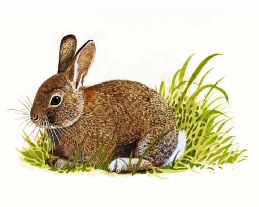 European Rabbit Art Diamond Painting