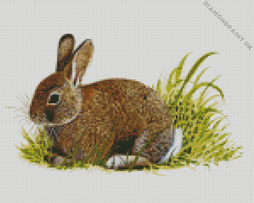 European Rabbit Art Diamond Painting