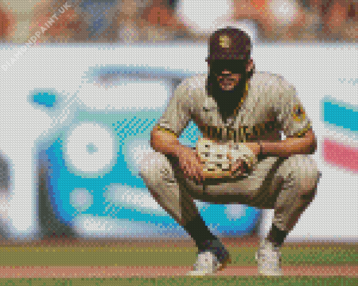 Fernando Tatis Jr Baseball Player Diamond Painting