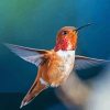 Flying Rufous Hummingbird Diamond Painting